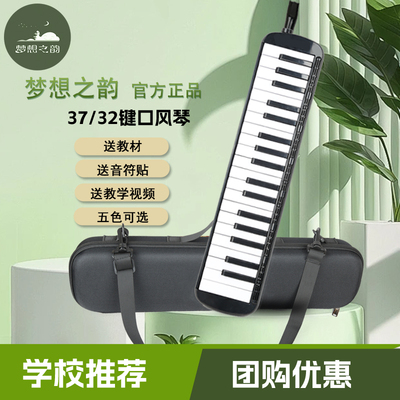 梦之韵口风琴多色质保个性化
