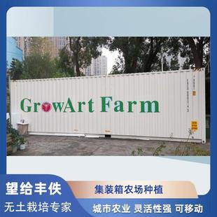 水培系统集装箱农场厂家城市自动化气雾栽培设施智能大棚立体种植