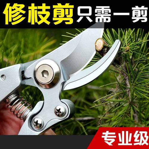 花艺师插花专用剪刀修枝剪园艺花枝花卉修剪树枝盆景鲜花剪子工具