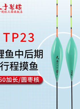 天予制标TP23泡坑中后期鲤鱼高灵敏枣核型纳米行程好加长大吃铅