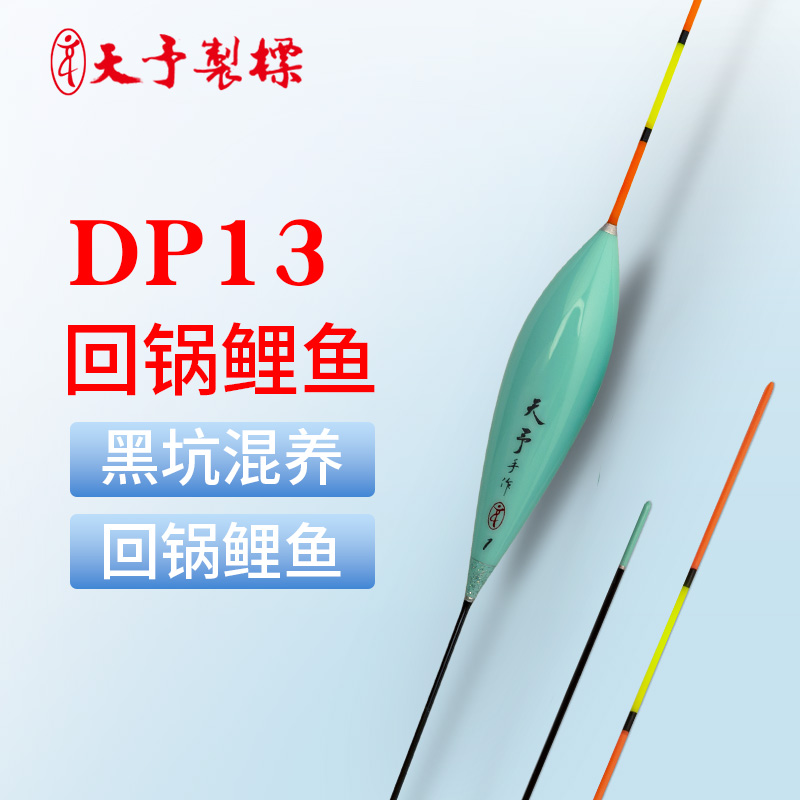 天予DP13混养鲤鱼浮漂
