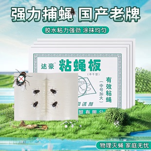 苍蝇贴粘蝇贴强力粘苍蝇纸粘蝇板药沾蚊杀手捕捉器灭蝇神器一扫光