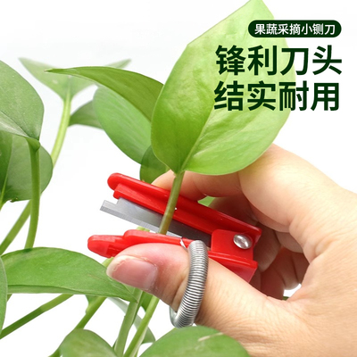 拇指刀手指小剪刀摘菜神器园艺