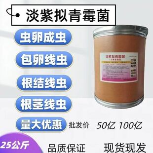 100亿淡紫拟青霉菌肥紫孢菌根线虫克星专用大姜山药农用防虫杀菌