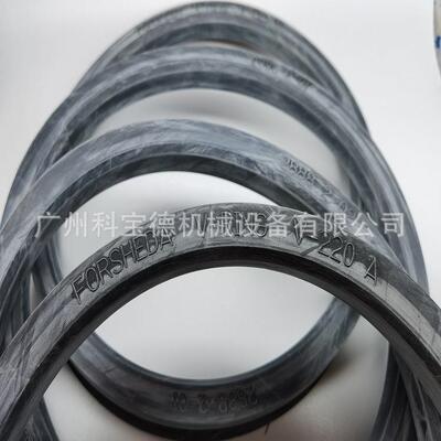 FORSHEDAV-RINGV-250A密封圈TWVA02500-N6T50VAVSVL水封密封件