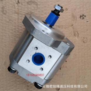 1515800013HAS 0776704齿轮泵