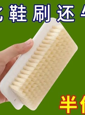 超软毛洗衣服专用板刷羽绒服清洁家用洗鞋神器鞋刷刷子洗衣不伤衣