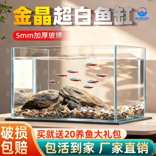 2025新款超白玻璃缸长方形金鱼缸小型客厅家用桌面生态乌龟缸草缸