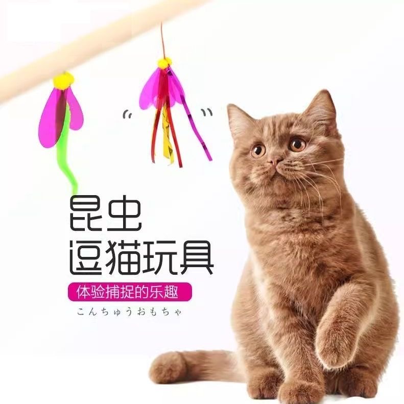 多格漫炫彩昆虫逗猫棒天然桦木握杆材料颜色鲜亮昆虫造型