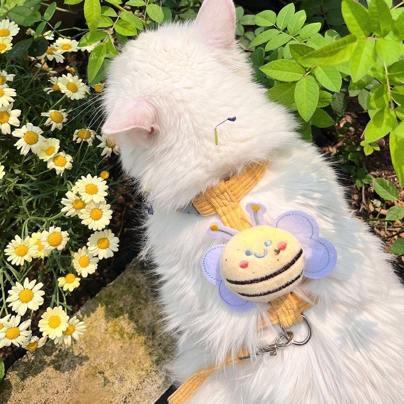 猫咪蜜蜂牵引绳防挣脱外出专用宠物工字可调节泰迪小型犬猫绳链子,宠物/宠物食品及用品,猫牵引绳,淘宝优惠券,粉丝福利购,淘宝优惠卷
