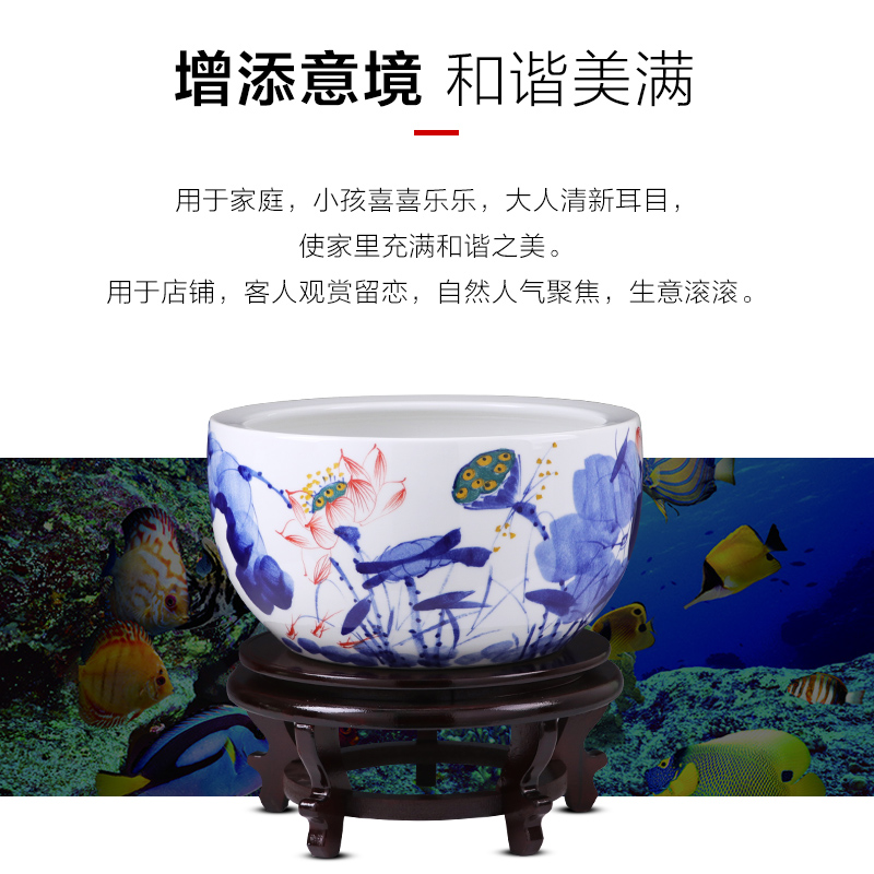 景德镇陶瓷鱼缸摆件青花瓷乌龟缸睡莲缸客厅酒店办公室装饰品摆设