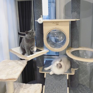 喵林苑定制实木大型猫爬架通天柱猫窝猫树一体超高猫玩具稳固大猫