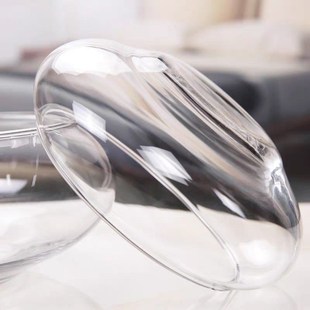 水培玻璃花瓶透明碗莲荷花铜钱草盆缸养睡莲的专用花盆鱼缸植物器