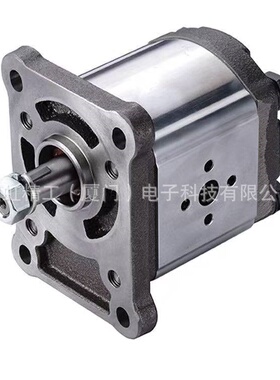 1AG1P02R台湾HONOR钰盟高压1GG1P04R齿轮油泵