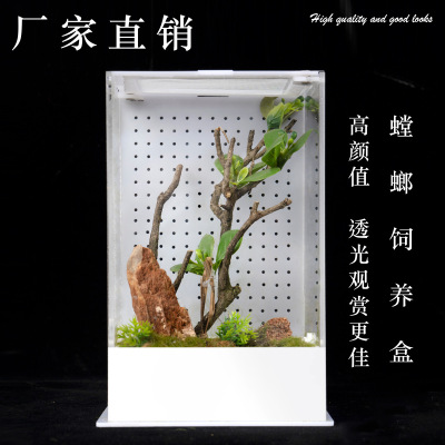 高款鸣虫饲养盒造景别墅鸣虫盒昆虫盒跳蛛蝈蝈螳螂观赏饲养盒
