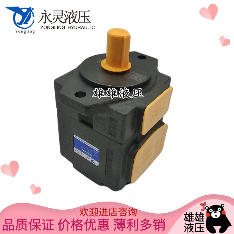 YLC/永灵液压泵PV2R2-4p1F1 47 53 59 65 70 79 85 RAF1叶片泵油
