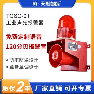 TGSG 声光告警器24V220V 01工业声光一体报警器 语音提示报警器