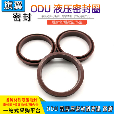 氟胶液压油封ODU225/230/240/250/255*209/214/224/234/239*18