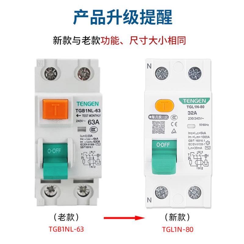 天正TGL1N-80电磁式小型