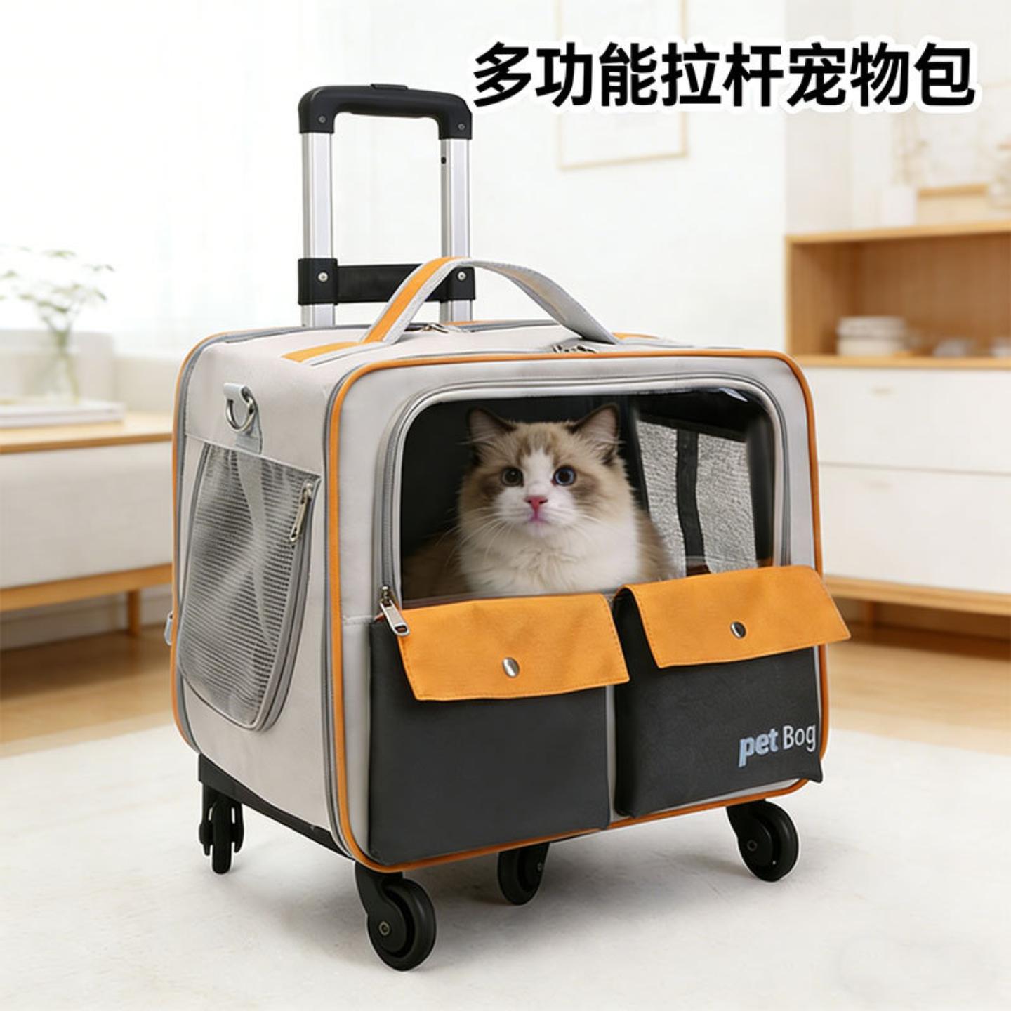 猫包宠物包双肩包外出猫咪包大