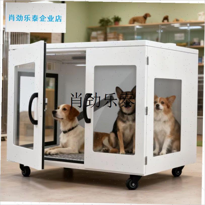 l宠物烘干b箱大型犬烘干机狗狗洗澡吹毛烘干神器吹风吹水机