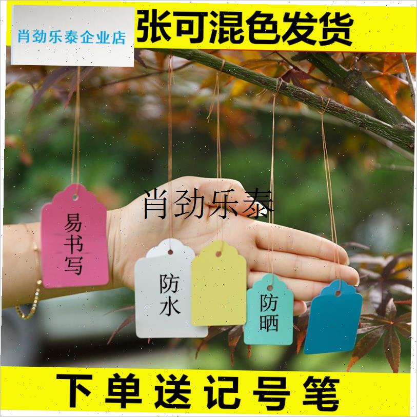 l盆栽绿植果c树花卉多肉彩色植物标签牌吊牌PVC防水塑料标记牌