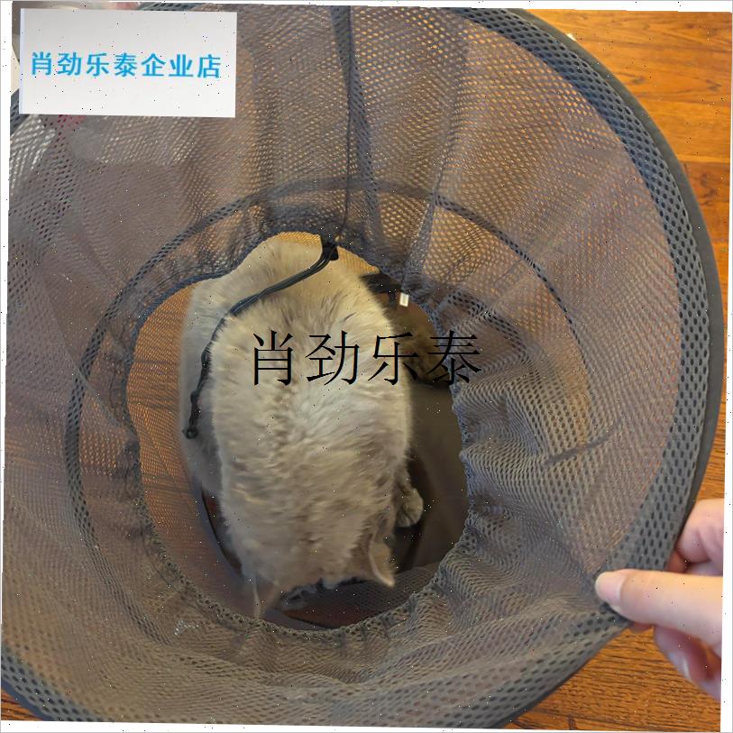 l宠物烘干箱e家用洗澡吹干神器猫咪小型犬吹风机吹毛防抓咬专用