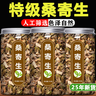 桑寄生中药材正品500g克官方旗舰店中药野生桑寄生的功效茶泡水喝