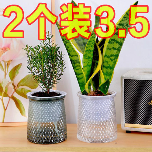 北欧塑料水培透明简约绿植花盆
