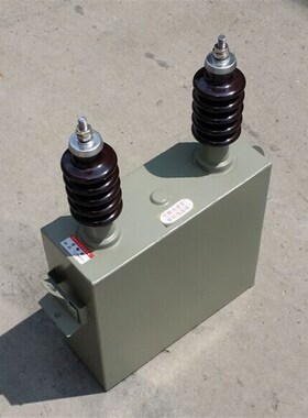BAM  BFM113-334-1W  100-1W 200-1W300-1W 高压并联电容器 厂