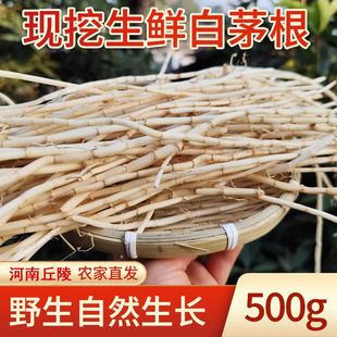 野生白茅根茶芦草根水茅根中药材蒲公英茅草根去皮新鲜现挖包邮
