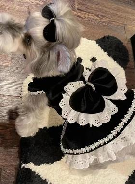 狗狗黑色衣服丝绒礼服公主裙子猫咪约克夏宠物比熊博美泰迪小型