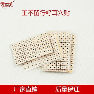耳穴贴 王不留行籽贴 耳豆贴 王不留型按摩贴 王不留行耳贴