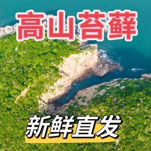生态缸材料包鲜活苔藓盆景假山装饰水陆缸微景观生态瓶铺面植物材