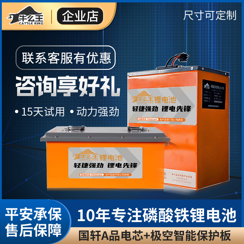 牛么王磷酸铁锂电池电动车电池