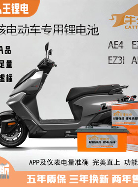 牛么王锂电池适用于极核AE4EZ4EZ3iAE5电摩60V72Ｖ锂电池无损直上