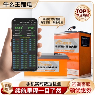 牛么王锂电池国轩电芯72V锂电池60V锂电池外卖专用两轮电动锂电池