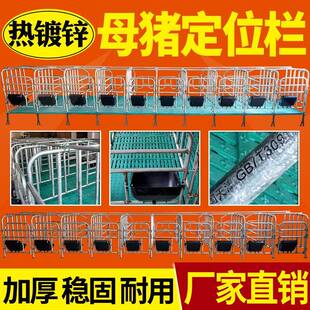 热镀锌母猪用产床保育床猪用限位栏限位栏带漏粪板加厚定位栏复合