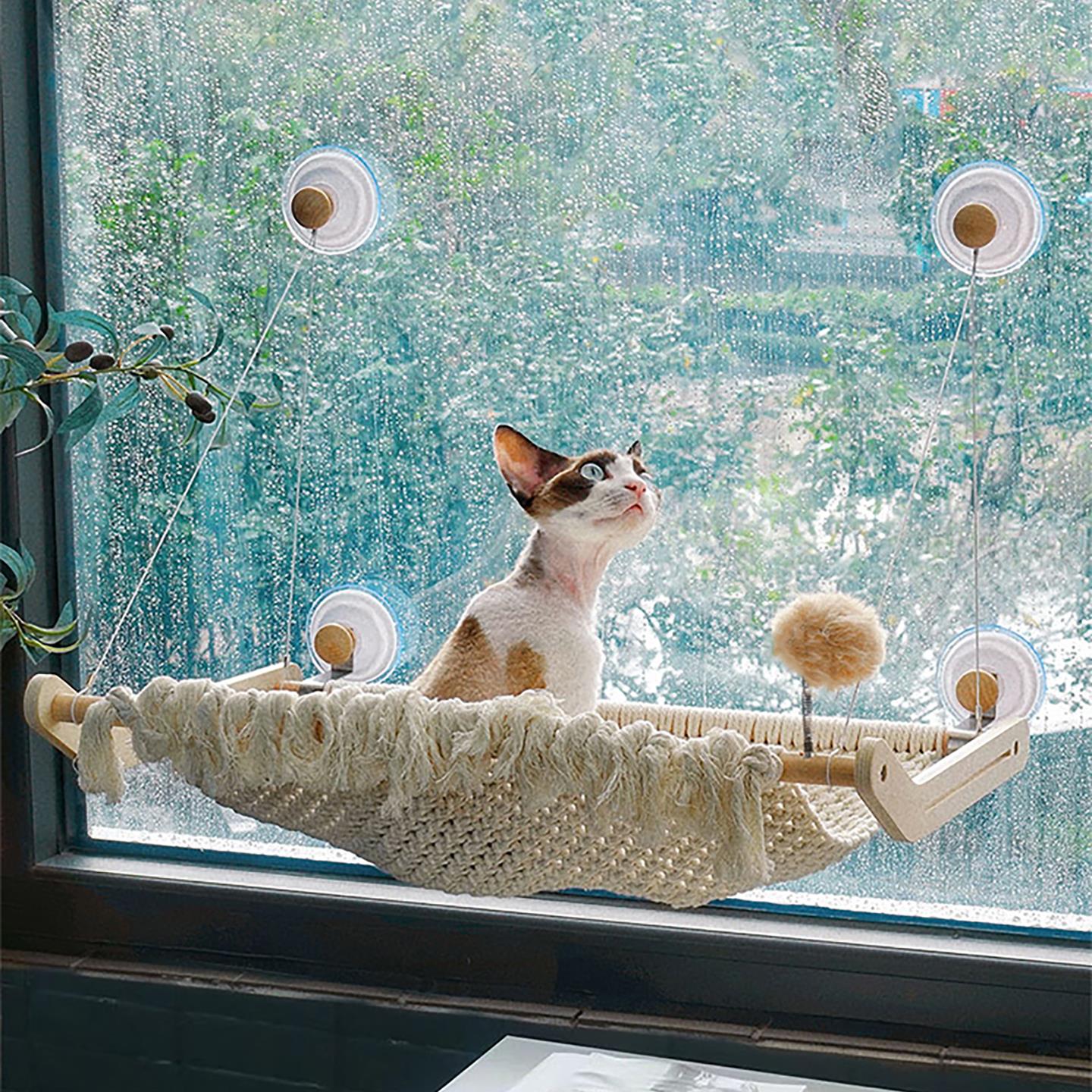 猫咕哩猫吊床玻璃窗户吸盘悬挂式猫窝窗台窗边阳台猫咪观景台秋千