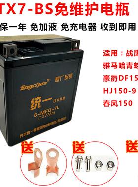 阿普利亚GPR125 GPR150 TERRA 150 ADV 台荣gp2摩托车电瓶蓄电池