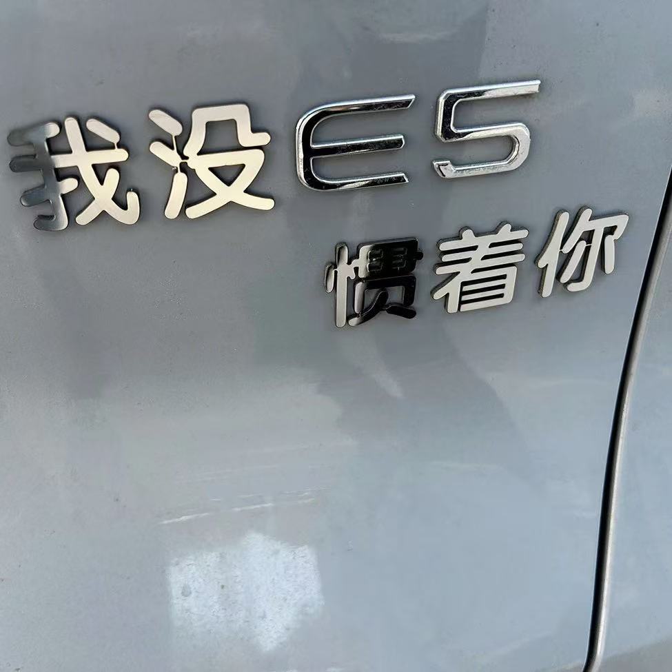 吉利银河E5我没E5惯着你车标