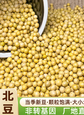 东北黄豆新大豆五谷杂粮豆子粗粮生豆芽打豆浆早餐做豆腐专用黄豆