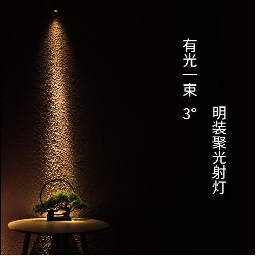 3度小角度束光灯餐桌氛围餐饮茶室艺术博物馆轨道灯led小射灯