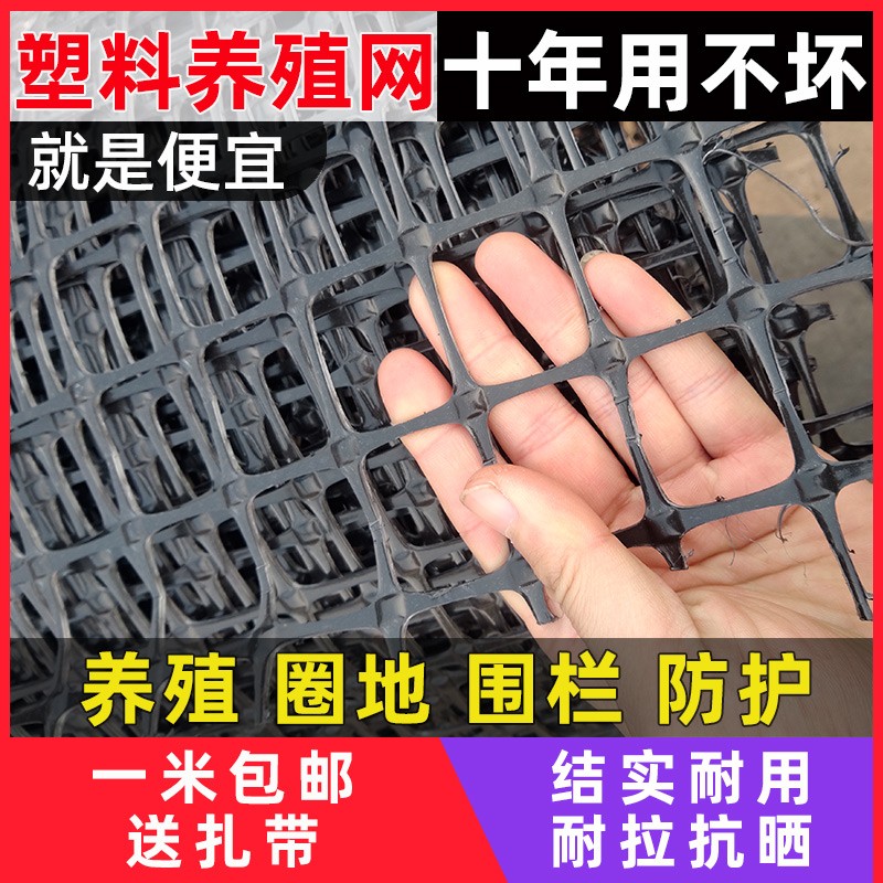 塑料网格养殖网栅栏防护网护栏网围栏网菜园围网S养鸡栏圈玉米户