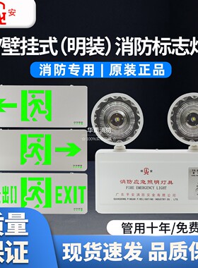 桂安/平安消防应急灯PA-ZM-ADZ-DT1消防应急照明灯LED双头灯