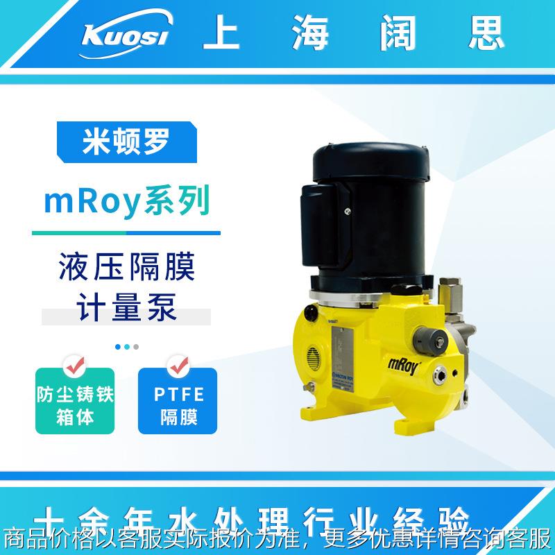 液压隔膜计量泵mRoy系列RA011S024A1MNN流体输送污水排污泵