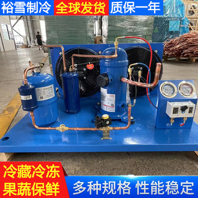 Condensing Unit 冷凝机组超市果蔬保鲜冷库制冷机组制冷压缩机