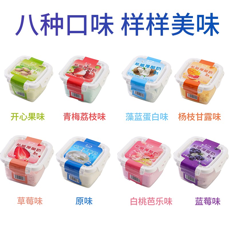盒装干噎酸奶八种口味希腊冷萃生牛乳发酵288g/盒 赠不锈钢勺
