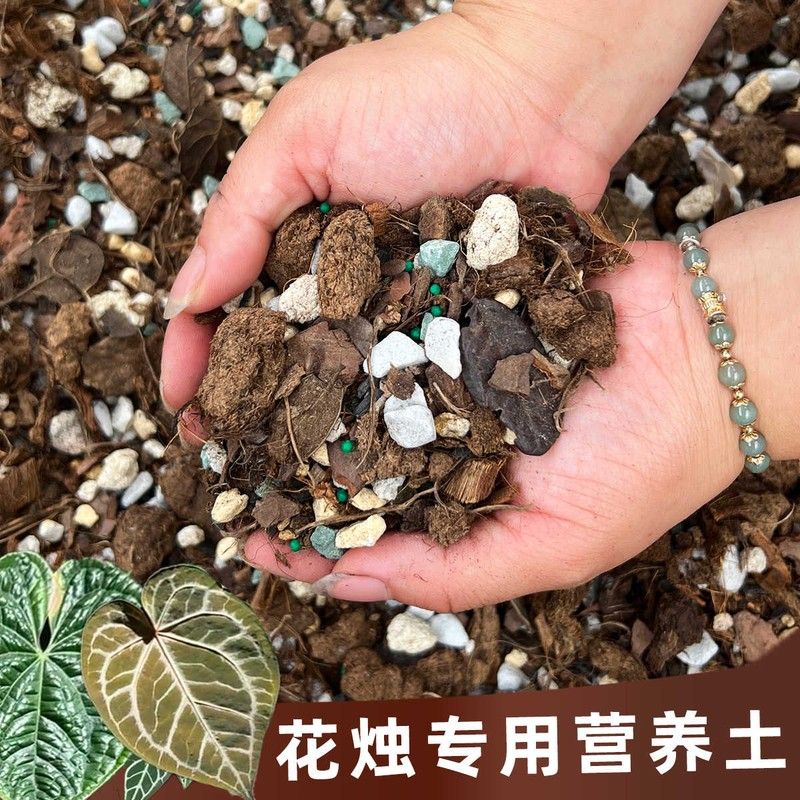 林之言花烛专用土种植室内热植颗粒天南星科龟背竹海芋泥炭营养土图片