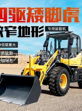 外贸工厂柴油装载机 工地四驱柴油铲车 装粮食铲车 Diesel Loader